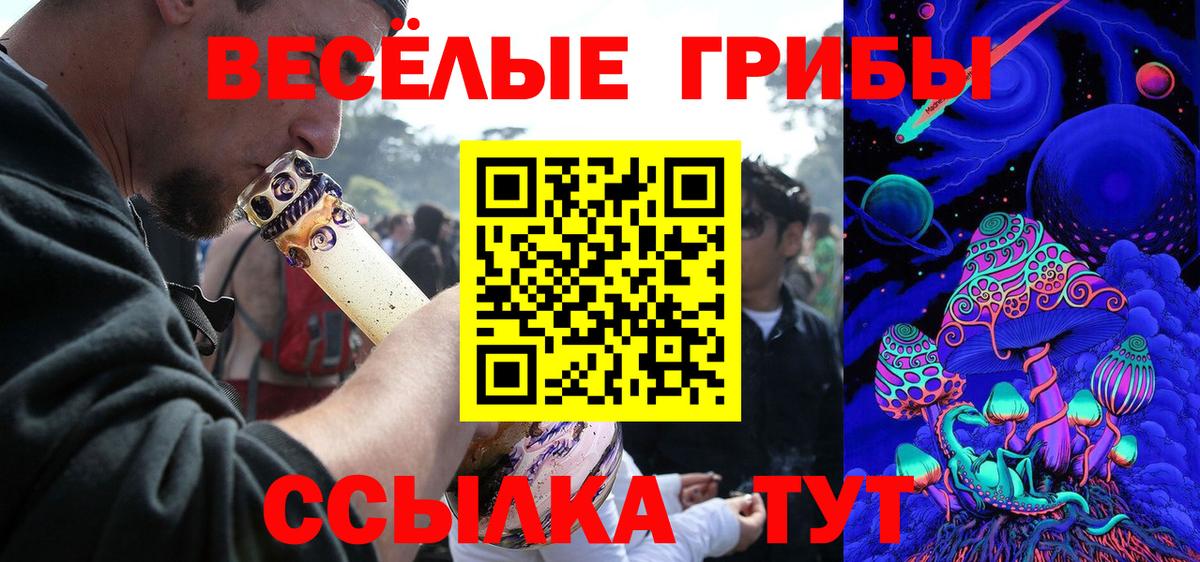 Долгопрудный  хочу наркоту  Вход с VPN  Псилоцибиновые грибы Psilocybe 
